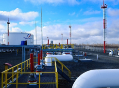 В 2022-ом году АО «Черномортранснефть» выполнило почти 100 тыс. экологических исследований
