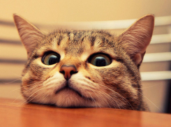 Снег и дождь пройдут в Краснодарском крае 25 декабря