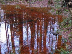 В Новороссийске прошел африканский «ржавый» дождь