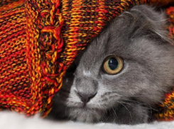 Дождь, гроза и снег: все, что надо знать о погоде в Краснодарском крае