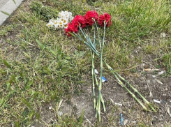 Водителя троллейбуса, сбившего школьницу в Краснодаре, могут отпустить под домашний арест