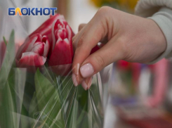 В Краснодаре 9 марта ожидается потепление до +8