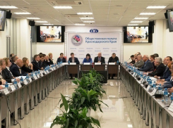 Общественные палаты могут открыть во всех районах Кубани 