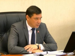 В мэрии Краснодара нашли виновных в том, что уже год нет возможности построить питомник