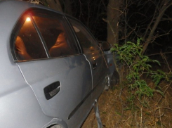  Две женщины пострадали после столкновения с деревом в Гулькевичском районе 