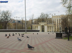 Мэр Краснодара назвал ситуацию с коронавирусом в городе стабильной