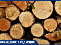 «Комсомольский решили превратить в пустыню», - краснодарка жалуется на тотальную вырубку деревьев