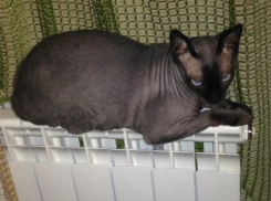 Подачу тепла в дома Краснодара отложили