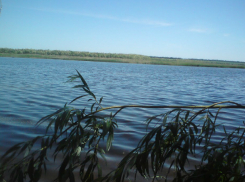 Пара молодых «горячих» мужчин превратила в боксерские груши четверых взрослых на Кубани