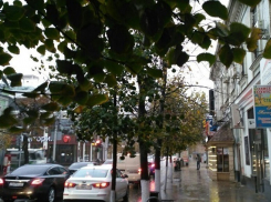 Что может подпортить День Защитника Отечества, рассказал главный метеоролог Краснодарского края