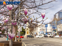 В Краснодаре зафиксировали превышение нормы токсичных веществ в воздухе