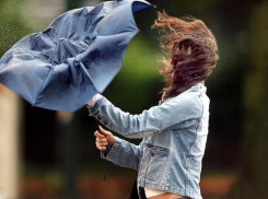 В Краснодаре на выходные ожидаются порывы ветра до 25 м/с