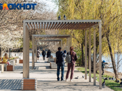 Спасают «понаехи»: в Краснодарском крае смертность в 1,6 раз превысила рождаемость