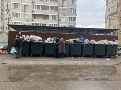 Горы отходов исчезают: после угроз мэра в Краснодаре занялись вывозом мусора