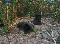 В Краснодаре планируют облагородить образовавшиеся после сноса домов и гаражей пустыри
