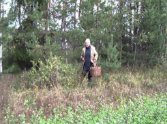 Пенсионерка из Горячего ключа заблудилась и три дня блуждала по лесу