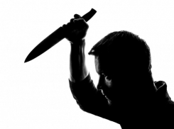 В Краснодарском крае мужчине дали 12 лет за убийство тёщи