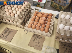 В Краснодарском крае за неделю на 9% подорожали куриные яйца