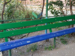 В Краснодаре перекрасили сине-желтую скамейку после возмущений жителей