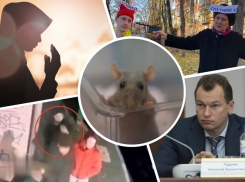 Прорывные разработки кубанских медиков, аресты в структурах «Газпрома», могила ведьмы и креатив «Отрядов Путина» - итоги недели