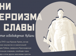 На официальном сайте Минобороны РФ запустили раздел к 80-летию освобождения Кубани и Краснодара