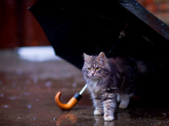 8-ое августа на Кубани будет дождливым и теплым