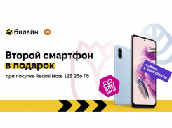 Второй смартфон в подарок в билайне!