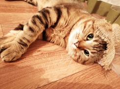 В Краснодаре 3 июля будет солнечно и жарко