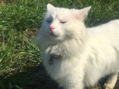 Февраль по-кубански: местами воздух прогреется до +15