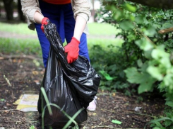 В Краснодаре ликвидировали почти 150 незаконных свалок