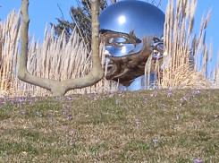 Актуальный Краснодар 16 марта: почти лето, не выносим мусор из дома, гуляем с любимыми, не даем в долг и вспоминаем ажиотаж в аптеках 