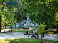 Мастер-класс по столярному делу и зумба-тур: краснодарцев пригласили в городские парки 