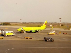  Двое мужчин в Сочи так напились, что пропустили самолет 