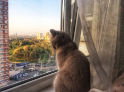 В Краснодарском крае потеплеет, но осадки не прекратятся