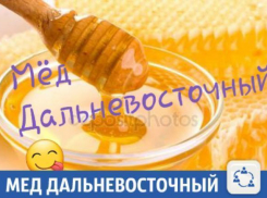 Вкусным дальневосточным медом можно полакомиться в Краснодаре