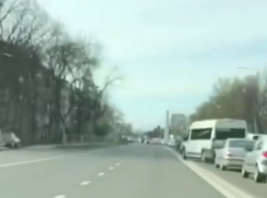  Это зависть: Водителя, рассекающего по встречке, защитили краснодарцы 