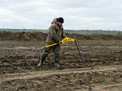 На месте будущей трассы до Крымского моста на Кубани будут искать бомбы времен ВОВ