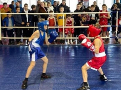 В Темрюке прошел турнир по боксу среди детей