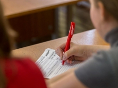 «Тотальный диктант»: Краснодарцы не знают слова «исполин»