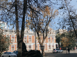 Южная зима радует краснодарцев: +14 градусов тепла