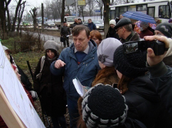 В Краснодаре состоится митинг против вырубки деревьев на Ростовском шоссе