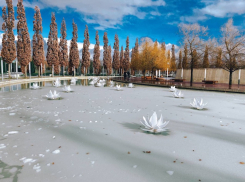 В Краснодаре ожидается южный ветер и +13 градусов