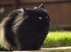  На Кубани похолодает и поднимется ураганный ветер 