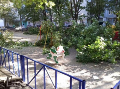 «Ваши дети и деревья нас не волнуют!» - краснодарцы шокированы опасной реконструкцией двора