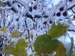 Обрыв проводов, закрытие школ и тонущие авто: в Краснодарском крае устраняют последствия разгула стихии