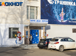 Дед мороз по скайпу и письмо от Хагги Вагги: сколько стоят чудеса в Краснодаре