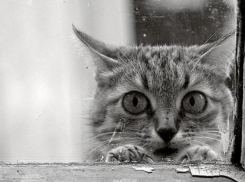 Солнце спряталось: на Кубани вновь пасмурно и дождливо