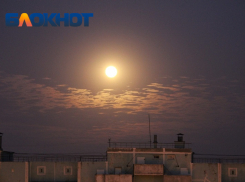 Стрельцов ждёт новая стрижка и покупки, Овнов – сложности, а Львов – экстрим: что звёзды сулят краснодарцам 20 октября