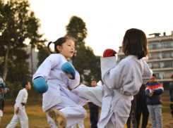 Нет документов и письмо ММА: в мэрии Краснодара прокомментировали отказ в проведении детских турниров