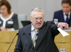  Жириновский предложил не наказывать хавбека «Краснодара» Мамаева и его друга Кокорина, а отправить их в Сирию 